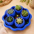 Blue Bloom Succulent Planter Set