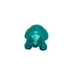 Tiny Tide Turtle