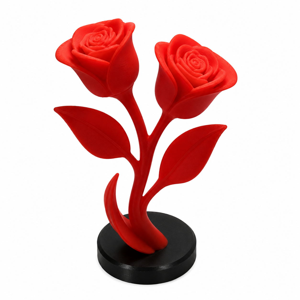 Forever Bloom Rose Duo
