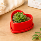 Sweetheart Succulent Planter