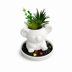 Koko Koala Planter