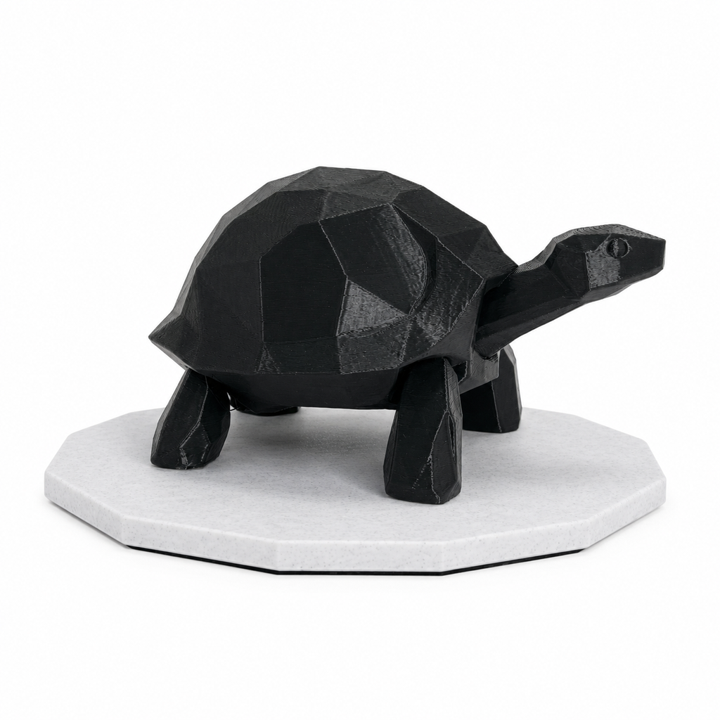 Midnight Journey Tortoise