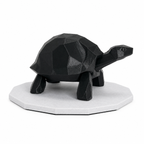 Midnight Journey Tortoise