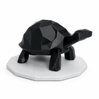 Midnight Journey Tortoise