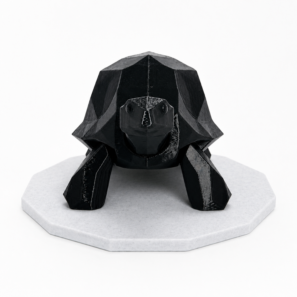 Midnight Journey Tortoise
