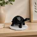 Midnight Journey Tortoise