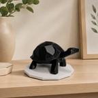Midnight Journey Tortoise