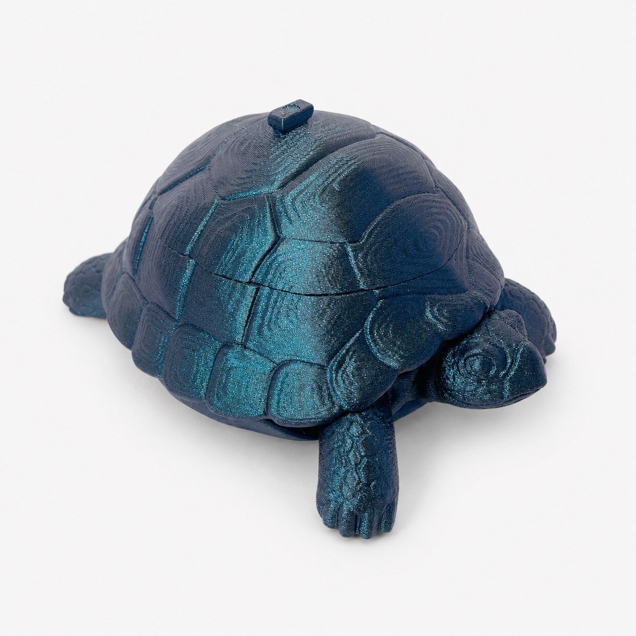 Midnight Tide Turtle Trinket Box