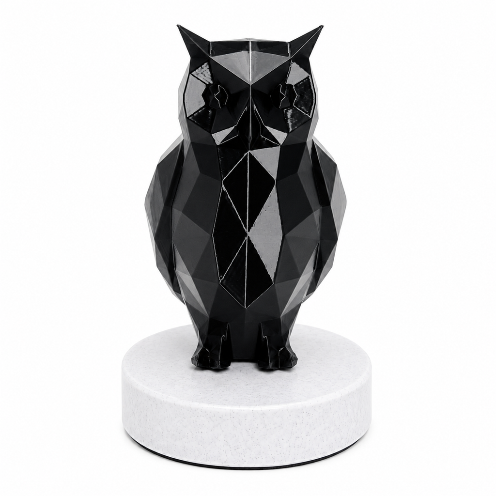 Midnight Watch Owl