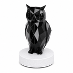 Midnight Watch Owl