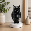Midnight Watch Owl