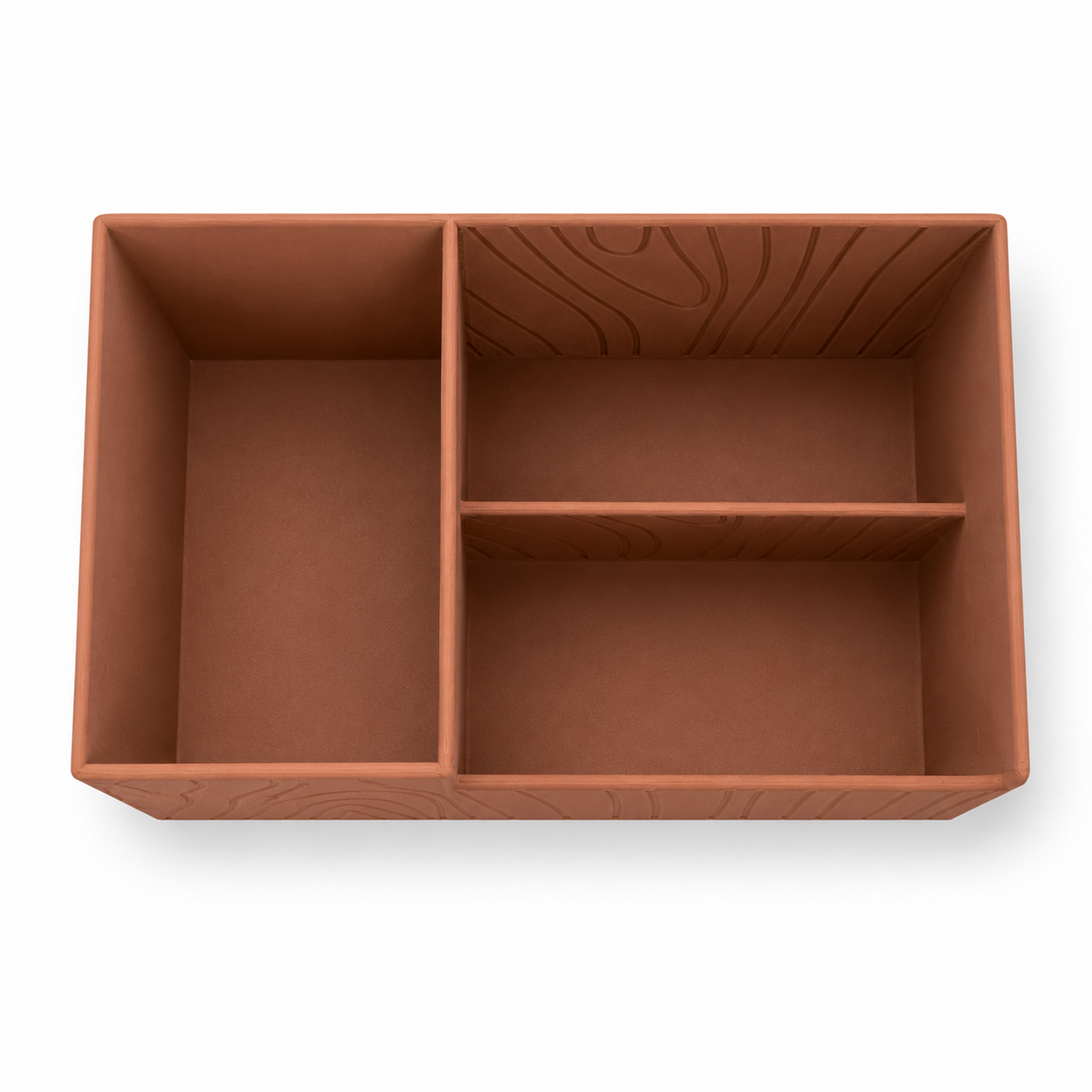 Area Organizer